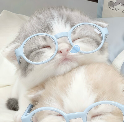 我的萌天下无双