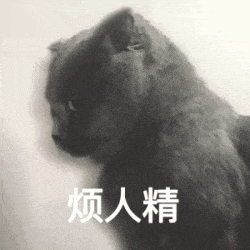 猫猫表情包