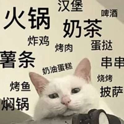 猫猫表情包