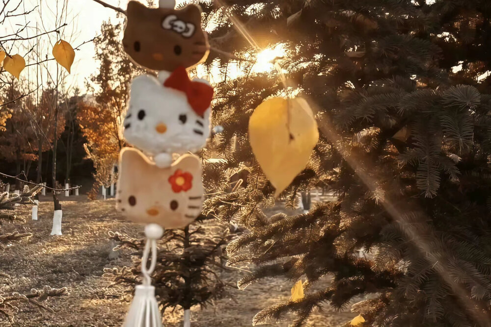 总有一些东西 要用失去来证明它的珍贵