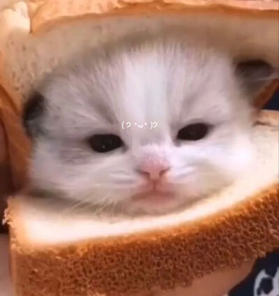 我是不会放弃收集这种图片的