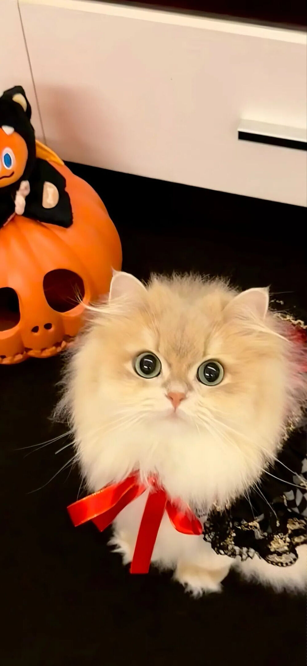 我是不会放弃收集这种图片的