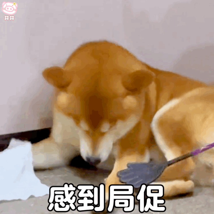 狗狗表情包
可爱的表情包