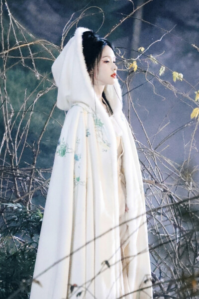 月鳞绮纪 雾妄言 陈都灵