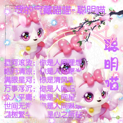 聪明喵的美图来啦