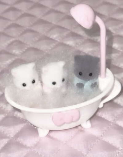 ꒰◍ᐡᐤᐡ◍꒱