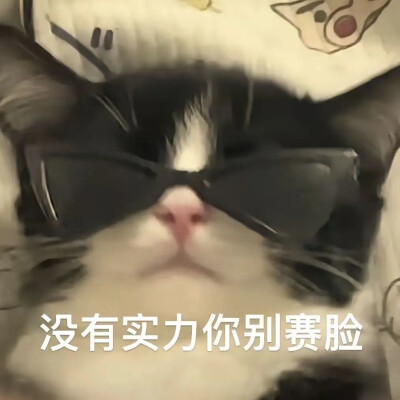 猫猫表情包