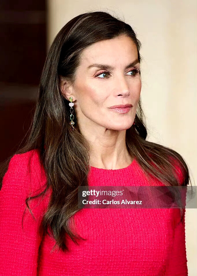 西班牙王后莱蒂齐亚