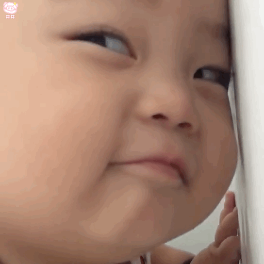 萌娃表情包动图
可爱的表情包