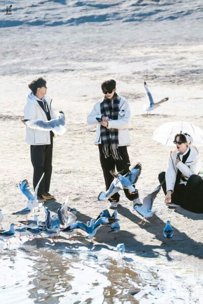 跳进地理书的旅行