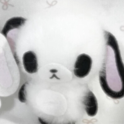 ꒰◍ᐡᐤᐡ◍꒱