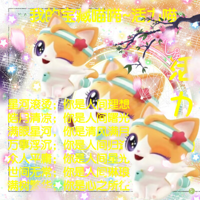 活力喵的美图来啦