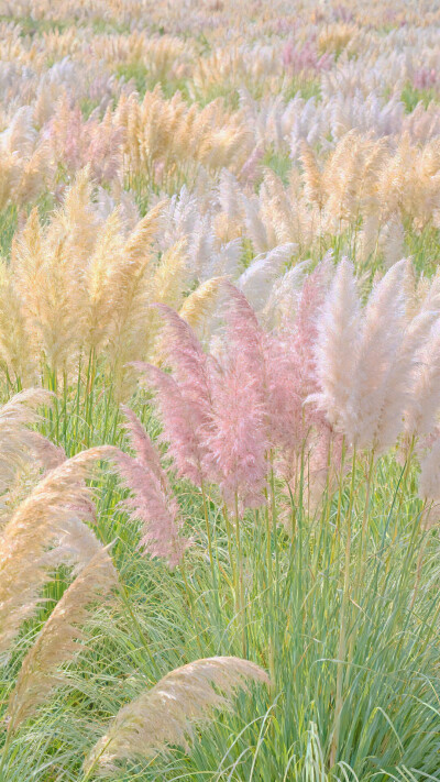 雨天：小清新女头像