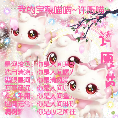 许愿喵的美图来啦