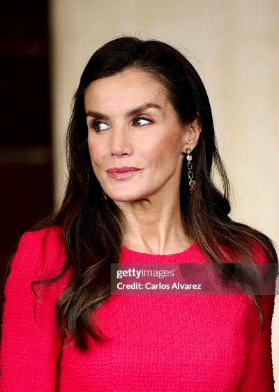 西班牙王后莱蒂齐亚