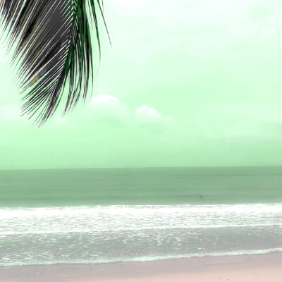 
擁有你:世界だ_け^に行く좋아요*