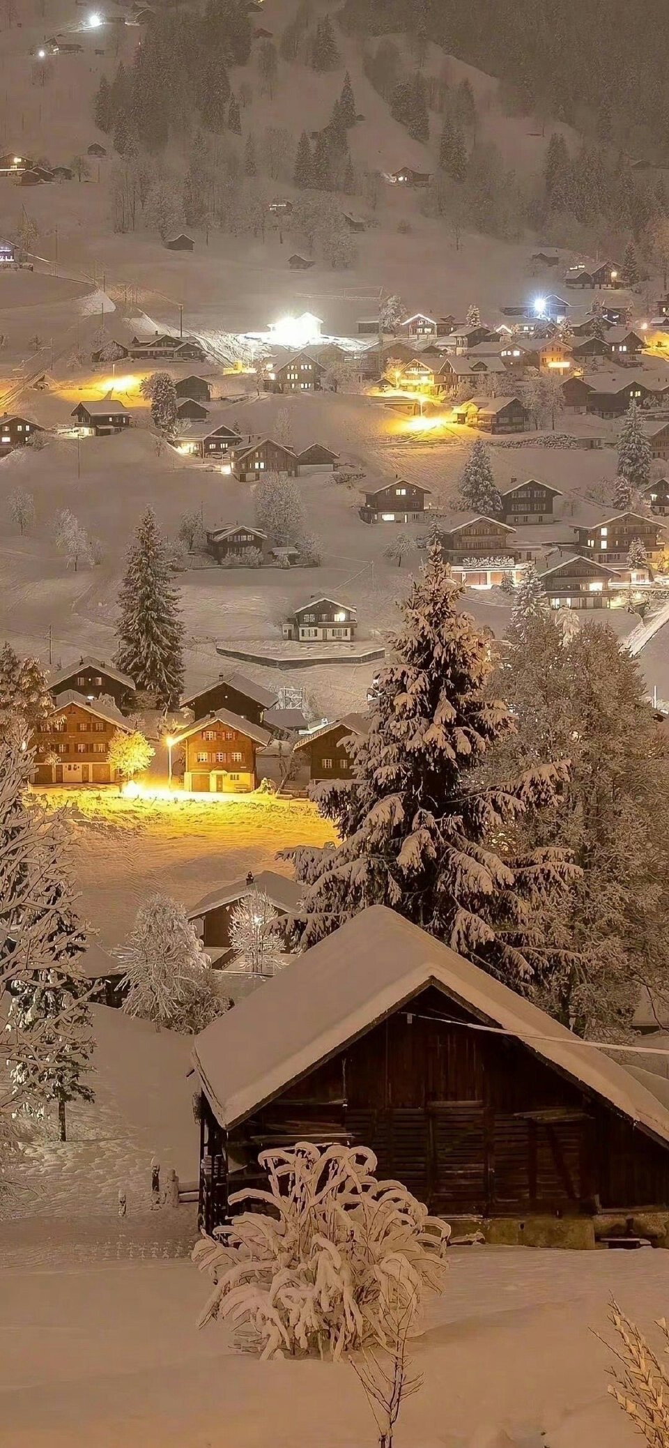 壁纸，雪景【图源网，侵删致歉】