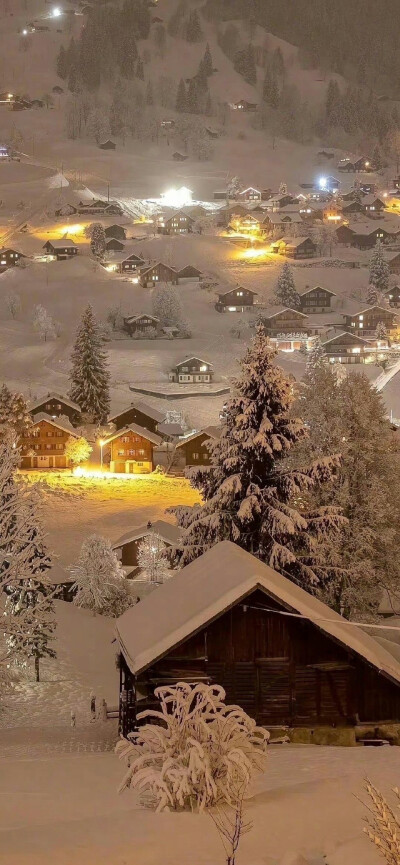 壁纸，雪景【图源网，侵删致歉】