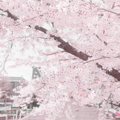 人类需要爱和鼓励.°๓(๑•ｏ-๑)๓