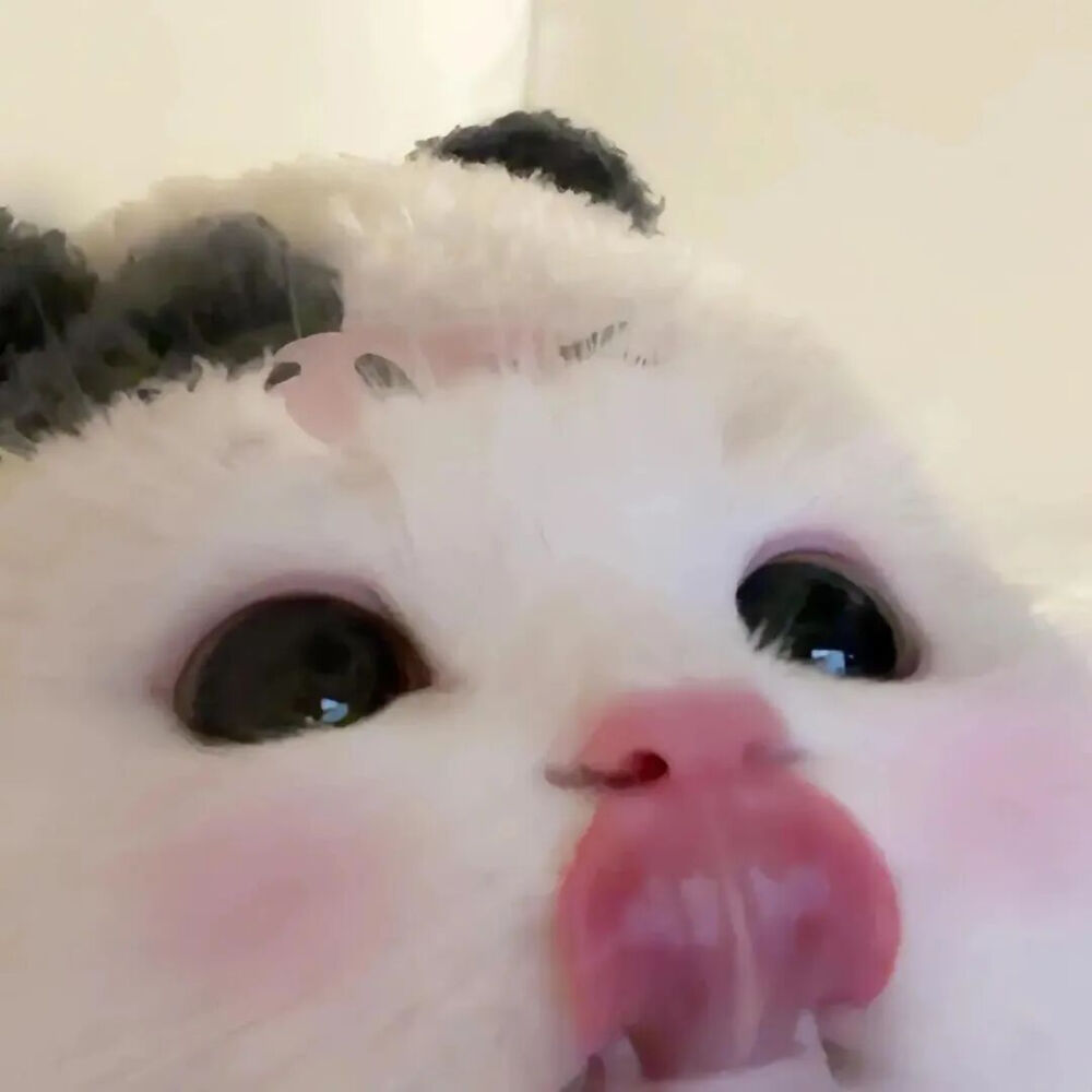 我是不会放弃收集这种图片的