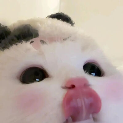 我是不会放弃收集这种图片的