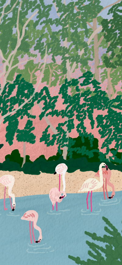 可爱的
图片来自网络，侵删