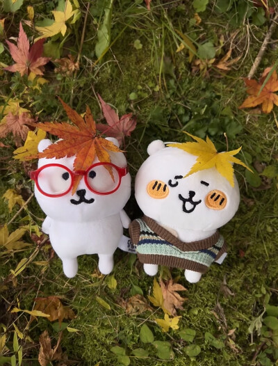 来自熊的LOVE ੭✧！