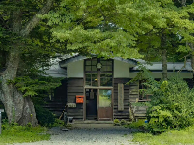 壁纸，平板【图源网，侵删致歉】