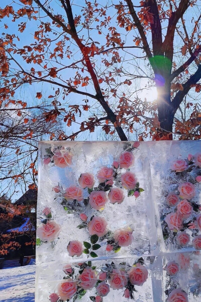 壁纸，雪景【图源网，侵删致歉】