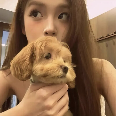 我是一个很好哄的炸弹包૮₍ꐦ -᷅ ⤙ -᷄ ₎ა