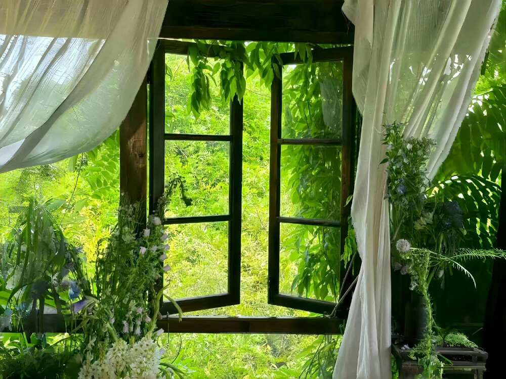 壁纸，平板【图源网，侵删致歉】