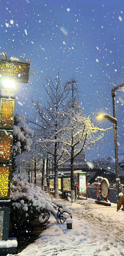 壁纸，雪景【图源网，侵删致歉】