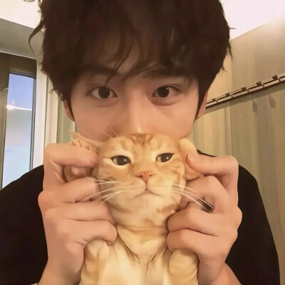 我是一个很好哄的炸弹包૮₍ꐦ -᷅ ⤙ -᷄ ₎ა