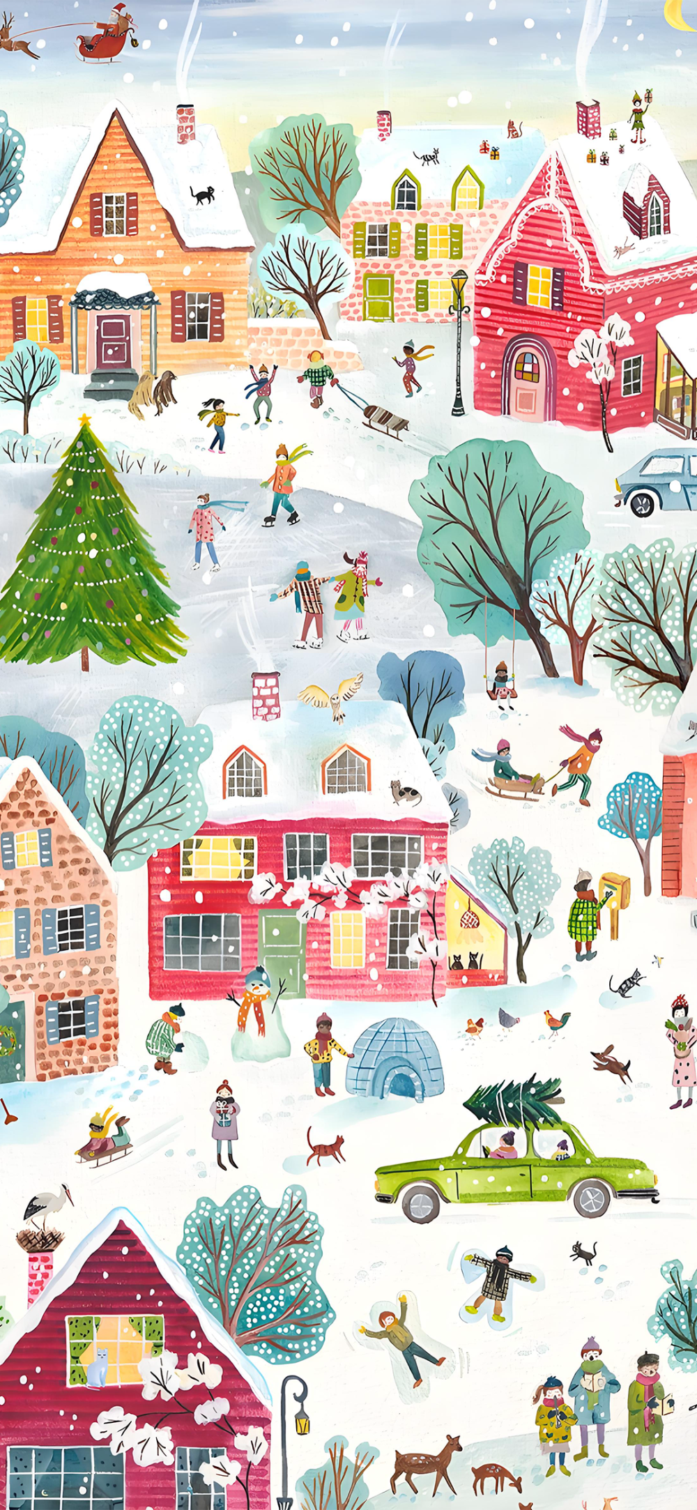 可爱的
图片来自网络，侵删