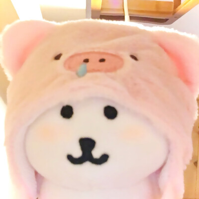 萌物头像
