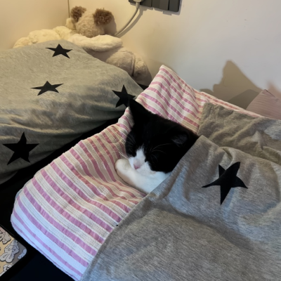 我是不会放弃收集这种图片的