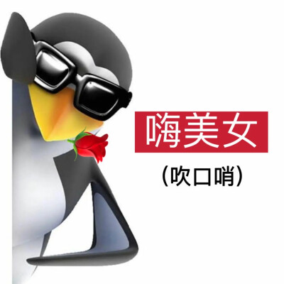 企鹅表情包