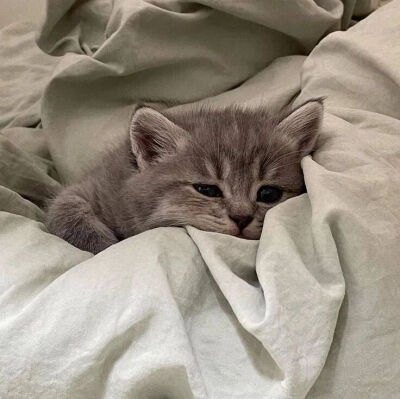 我是不会放弃收集这种图片的