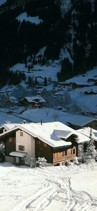 壁纸，雪景【图源网，侵删致歉】