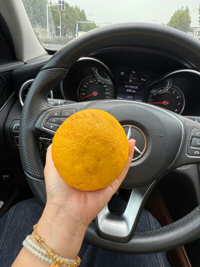 我自甘堕落 救我就是害我。