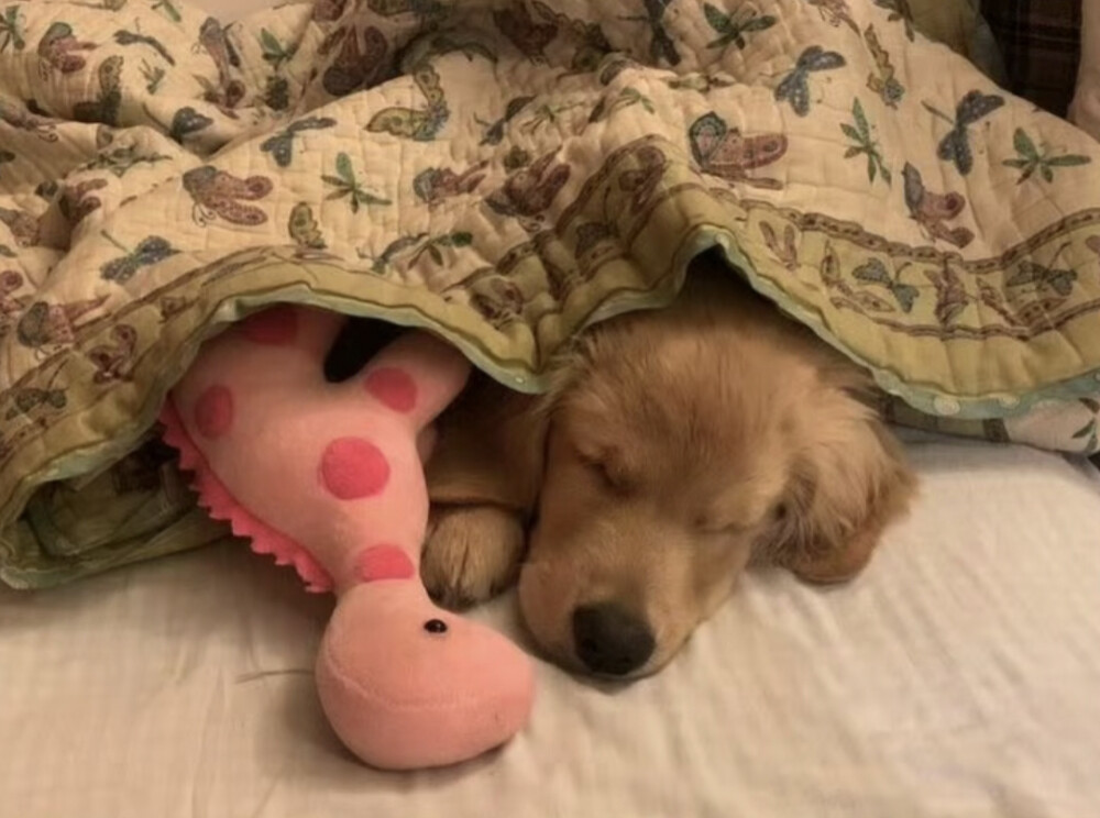 把我的心搞得一团乱还在那可爱的笑！