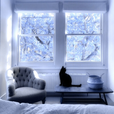 
Still:冻结霞光Temps de la mer.仲