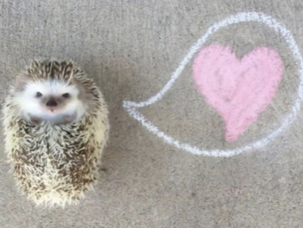 把我的心搞得一团乱还在那可爱的笑！