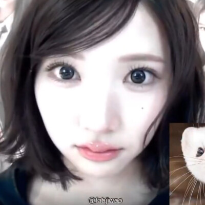 守护我方公主殿下