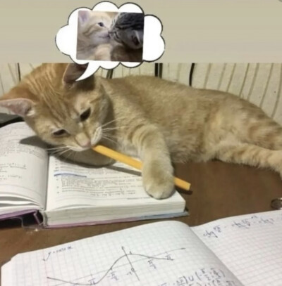 把我的心搞得一团乱还在那可爱的笑！