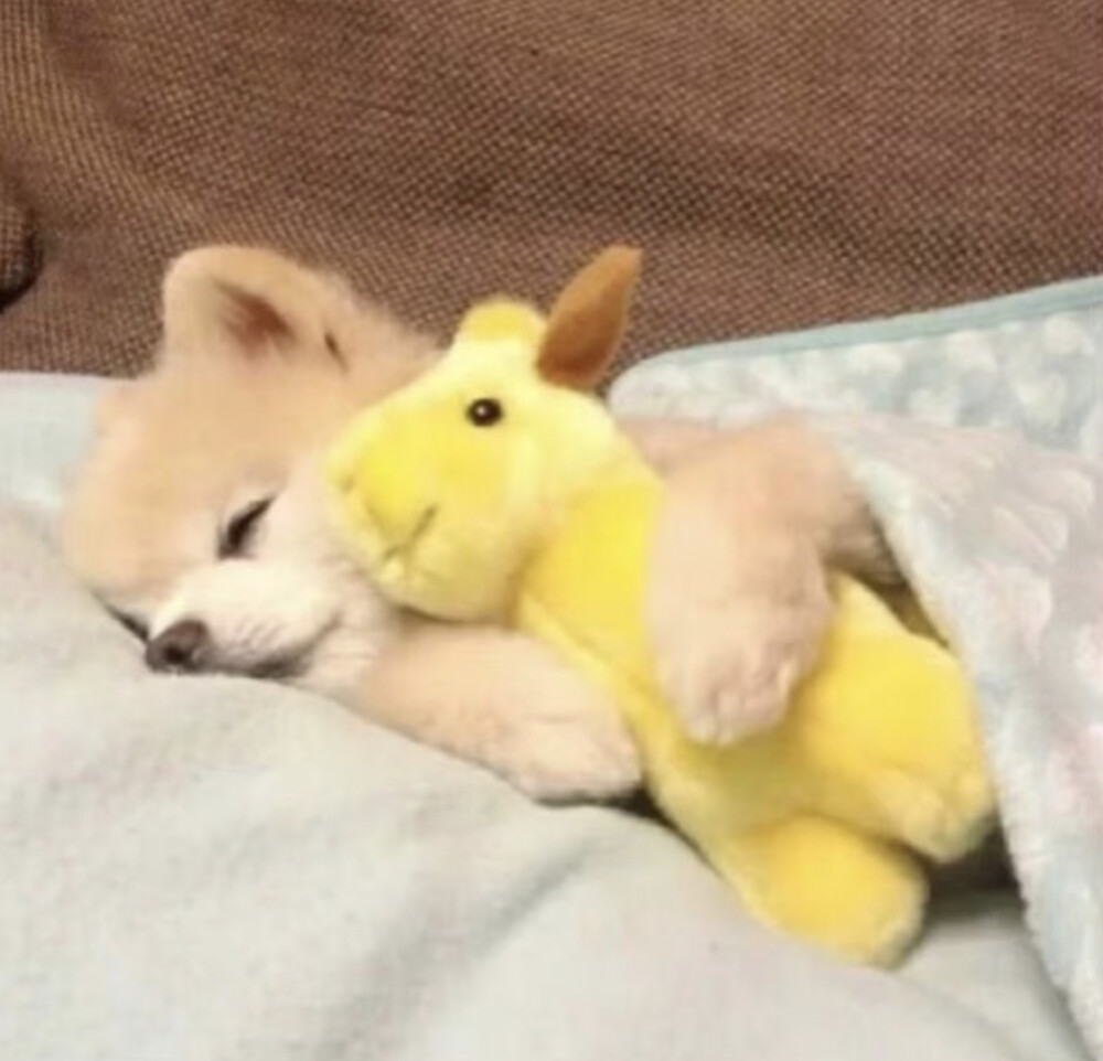 把我的心搞得一团乱还在那可爱的笑！