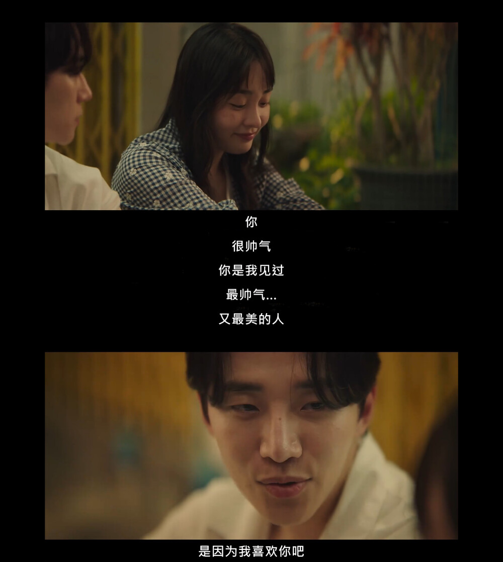 台风商社
태풍상사
Typhoon Family