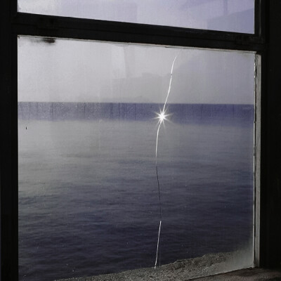 叶舒华｜꼬리 (고양이)...PURPLE夜^G