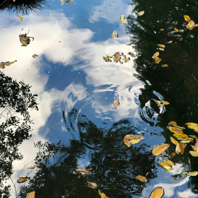 危险世界丨卢昱晓