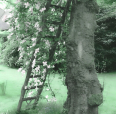 《青火》The cry of green fire..."熟悉的街口"